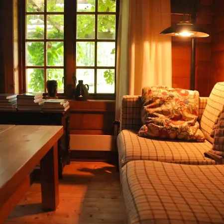 Unique Log In Quiet Forest