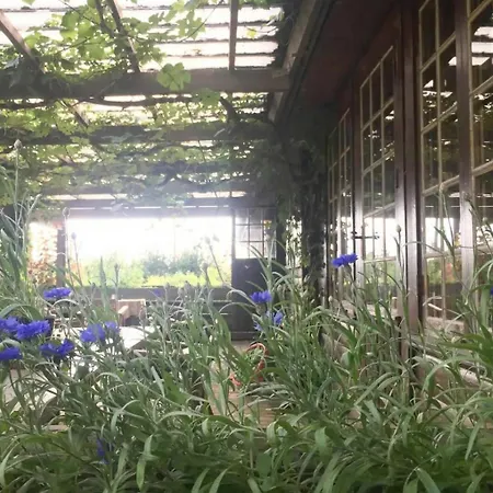 Semesterbostad Unique Log In Quiet Forest