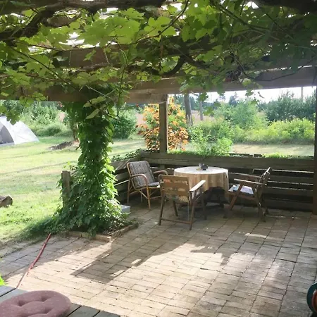 Unique Log In Quiet Forest Semesterbostad