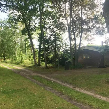 Unique Log In Quiet Forest *