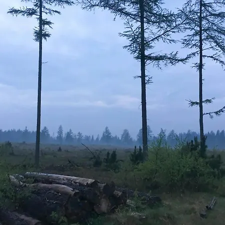 펜션 Unique Log In Quiet Forest *