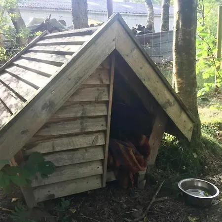Semesterbostad Unique Log In Quiet Forest