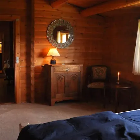 Unique Log In Quiet Forest *