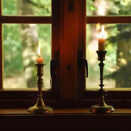 Unique Log In Quiet Forest * Brande