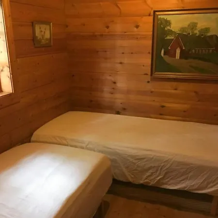 Unique Log In Quiet Forest * Brande