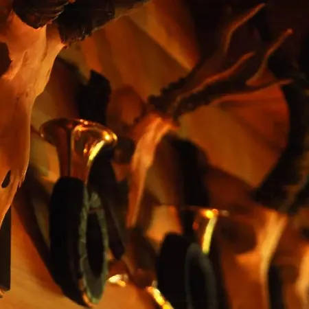 Unique Log In Quiet Forest