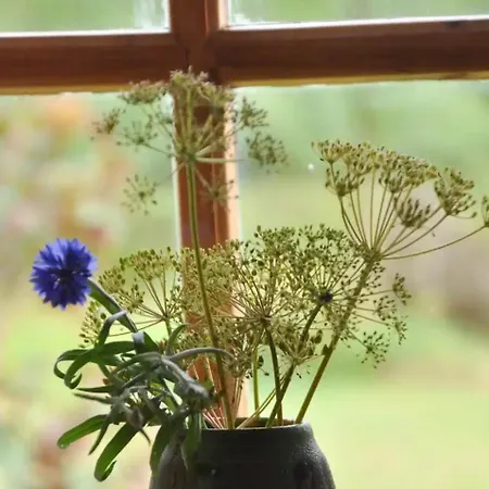 Unique Log In Quiet Forest 펜션