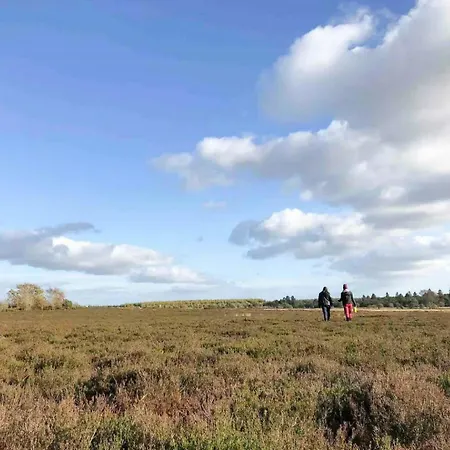 Unique Log In Quiet Forest 펜션 *